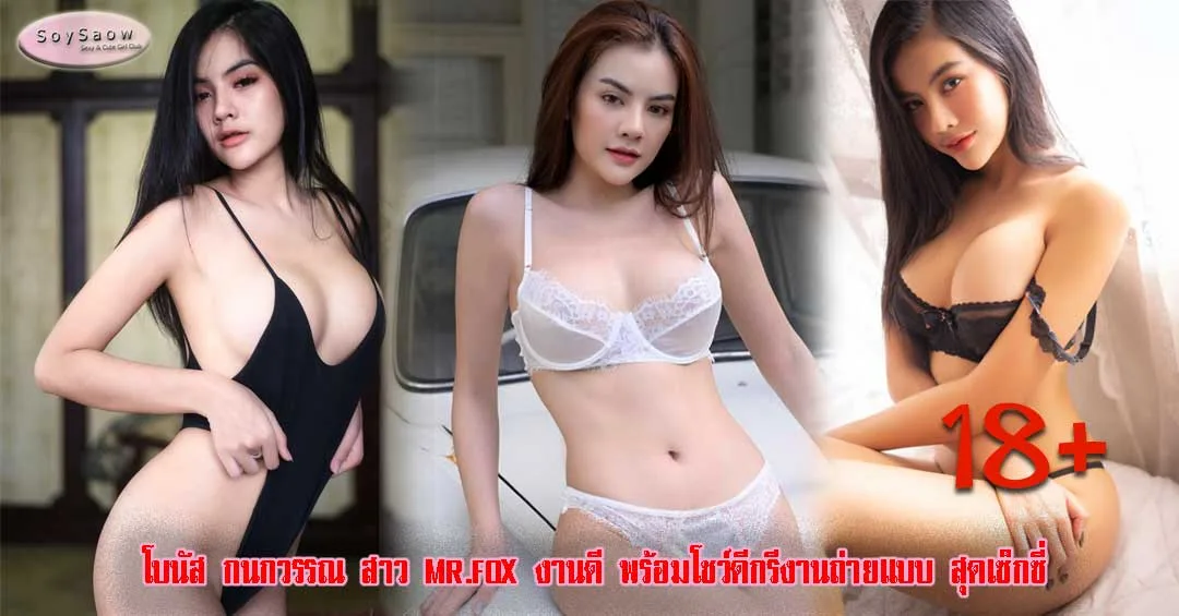 BonusMrFox ดาว TikTok ดาว TikTok - Soyswao